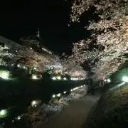 どら　⭐︎即購入大歓迎⭐︎の画像