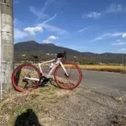 きんたん