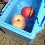おもちの画像