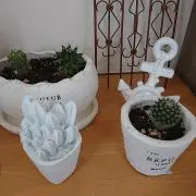 puchi*〜次の発送は7日です〜の画像