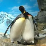 あやの画像