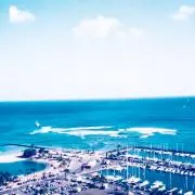 アルクロの画像
