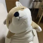 ms（ポケカ・アパレル）の画像
