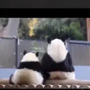 あっこの画像