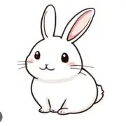 うさぎの画像