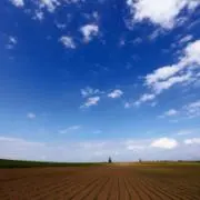 to meet