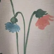 ぽんの画像