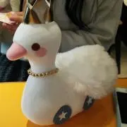 Papiyonkogi