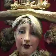 ダリダレの画像