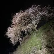 myumyu09の画像