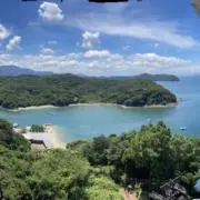 YKの画像