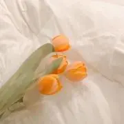 れの画像