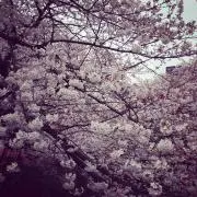 かみちよ