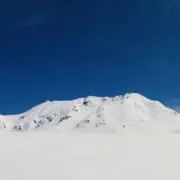 Syotaroの画像