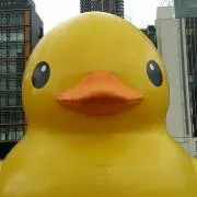 JUNKO♪の画像