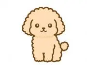 Soraの画像