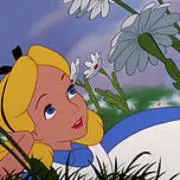 ALICE プロフィール見てくださいねの画像