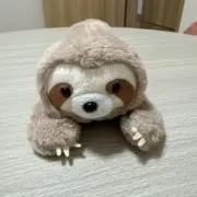 ナマケモノの画像