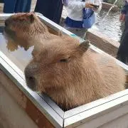 自宅整理中の画像