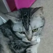 ゆっこ…プロフ読んで下さい❗