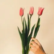 るな