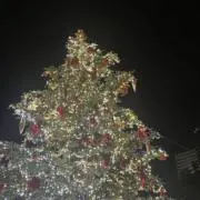 まいとも