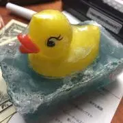 ヒヨコの画像