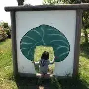 ＊かずぴー＊ 土日祝は発送不可です！の画像