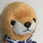 わんちゃん