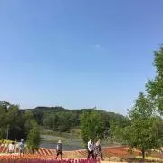 n.プロフィール見て下さいの画像