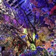 こと 基本即返信、即発送、即購入大歓迎！の画像