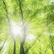 みやん(^.^)の画像