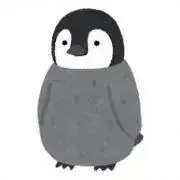 kashiwaの画像