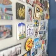 わたの画像