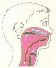 demx