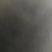 ナッツ王子の画像
