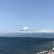 しばしばの画像