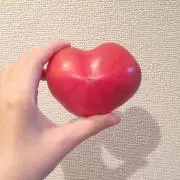 とまとの画像