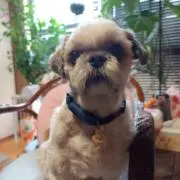 Ted