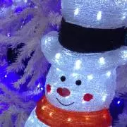 えすあいの画像