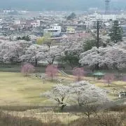 おっかぁの画像