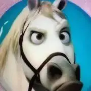 らくだの画像