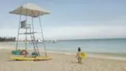 snhamの画像