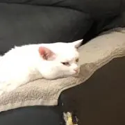 ひこうき