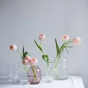 ぴくるすの画像