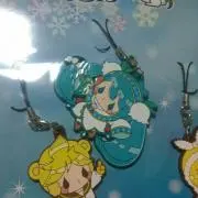 ぽんこの画像