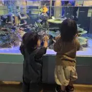 ちろ