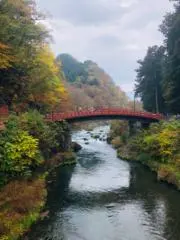 すずの画像