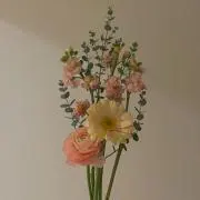 Eringoの画像