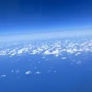 ぴーこの画像